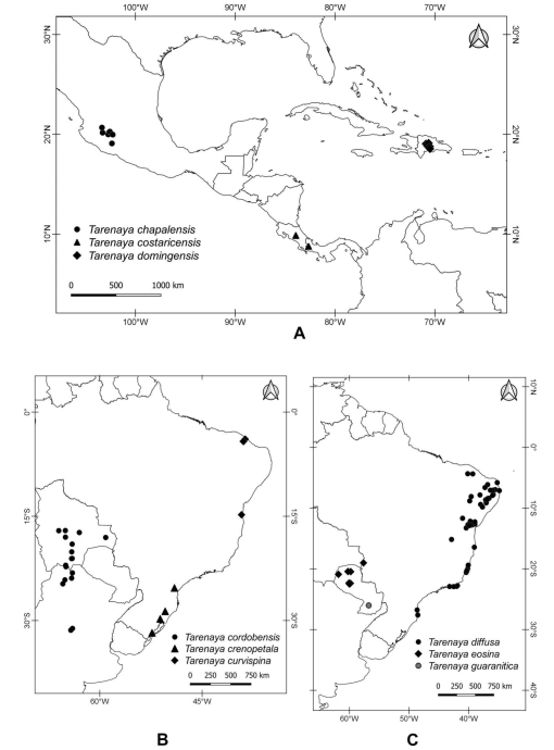 Taxonomic Revision of Tarenaya (Cleomaceae)1