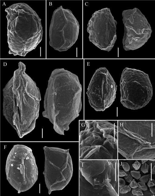 Taxonomic Revision of Serpocaulon (Polypodiaceae)1