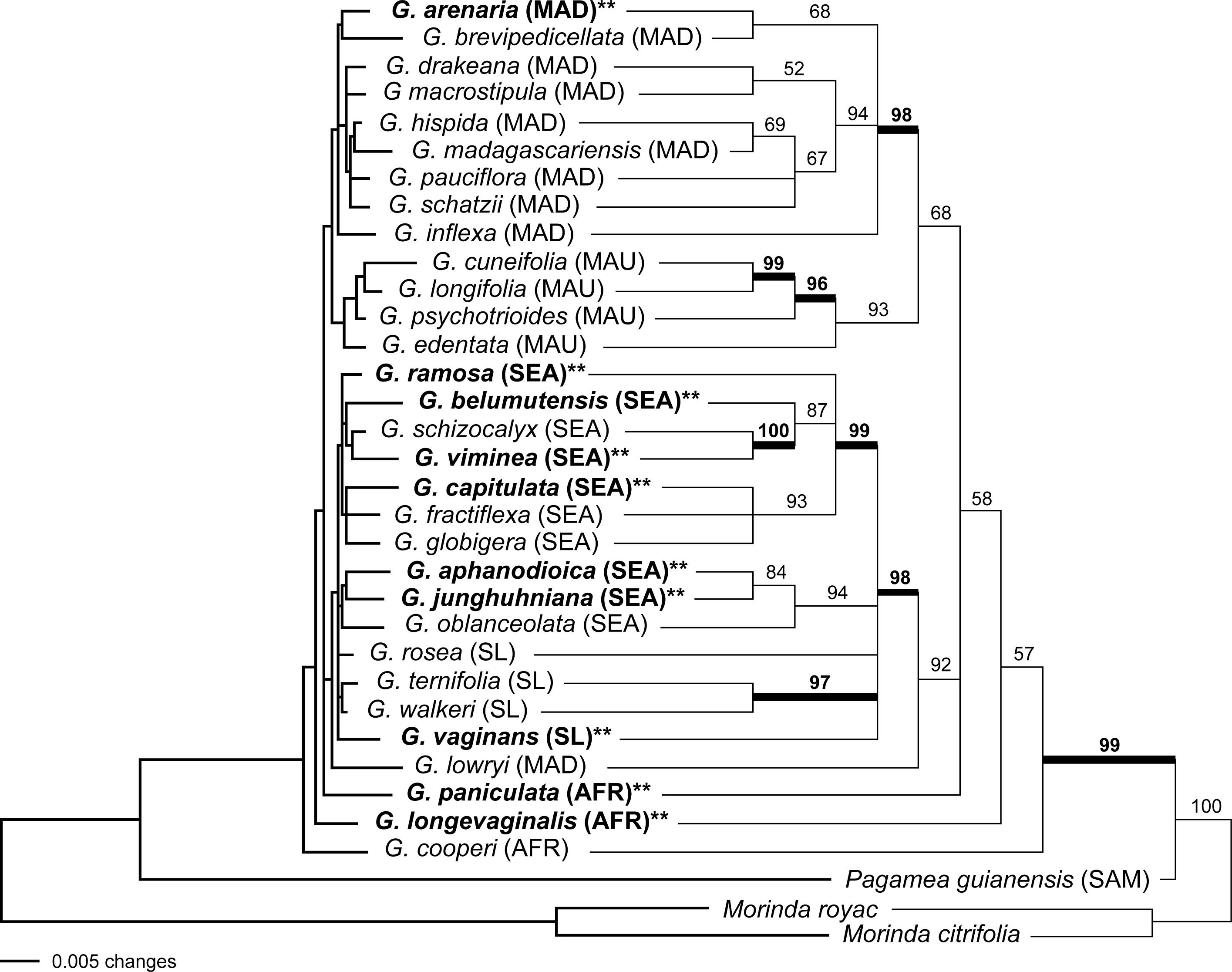 A Systematic Revision Of Gaertnera Rubiaceae Gaertnereae 1