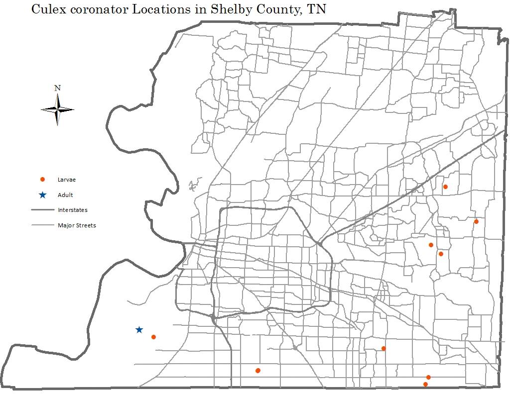 shelby county records tn