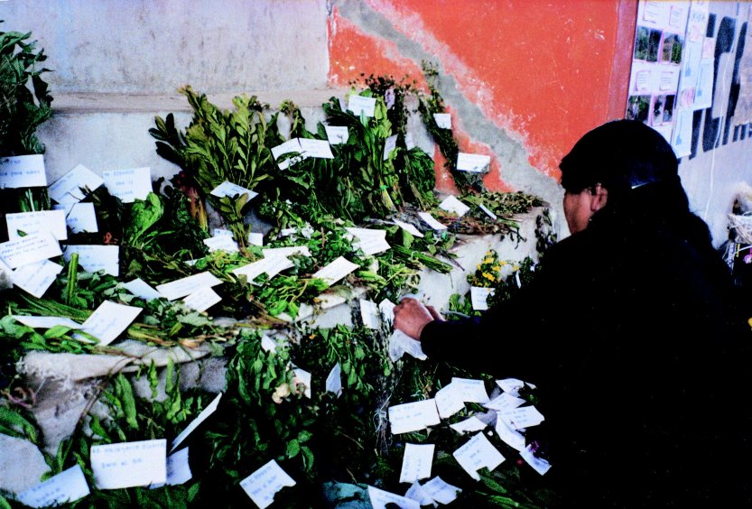 Mountain Agrobiodiversity In Peru