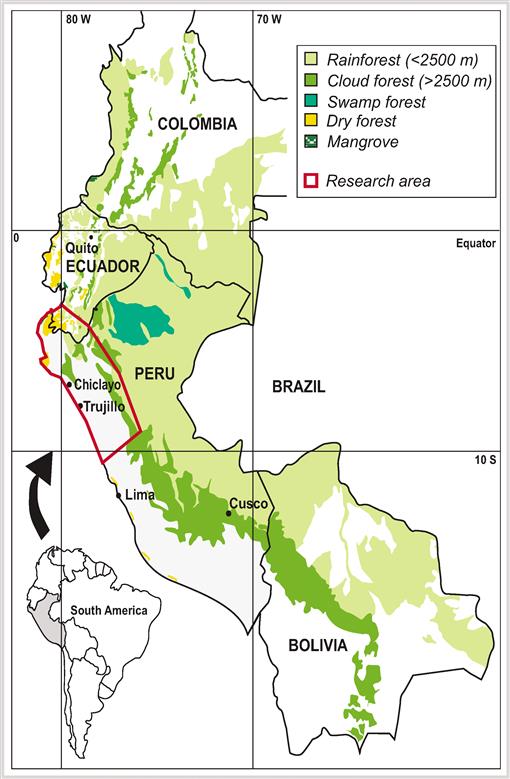 Markets, Healers, Vendors, Collectors: The Sustainability of Medicinal Plant  Use in Northern Peru