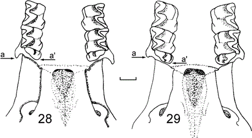 i1545-0228-3-1-1-f28.gif