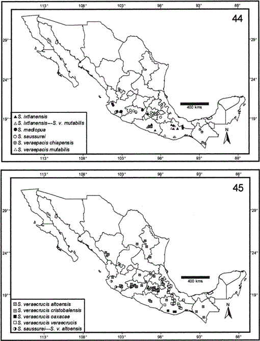 Shrews Eulypotyphla Soricidae Of Mexico