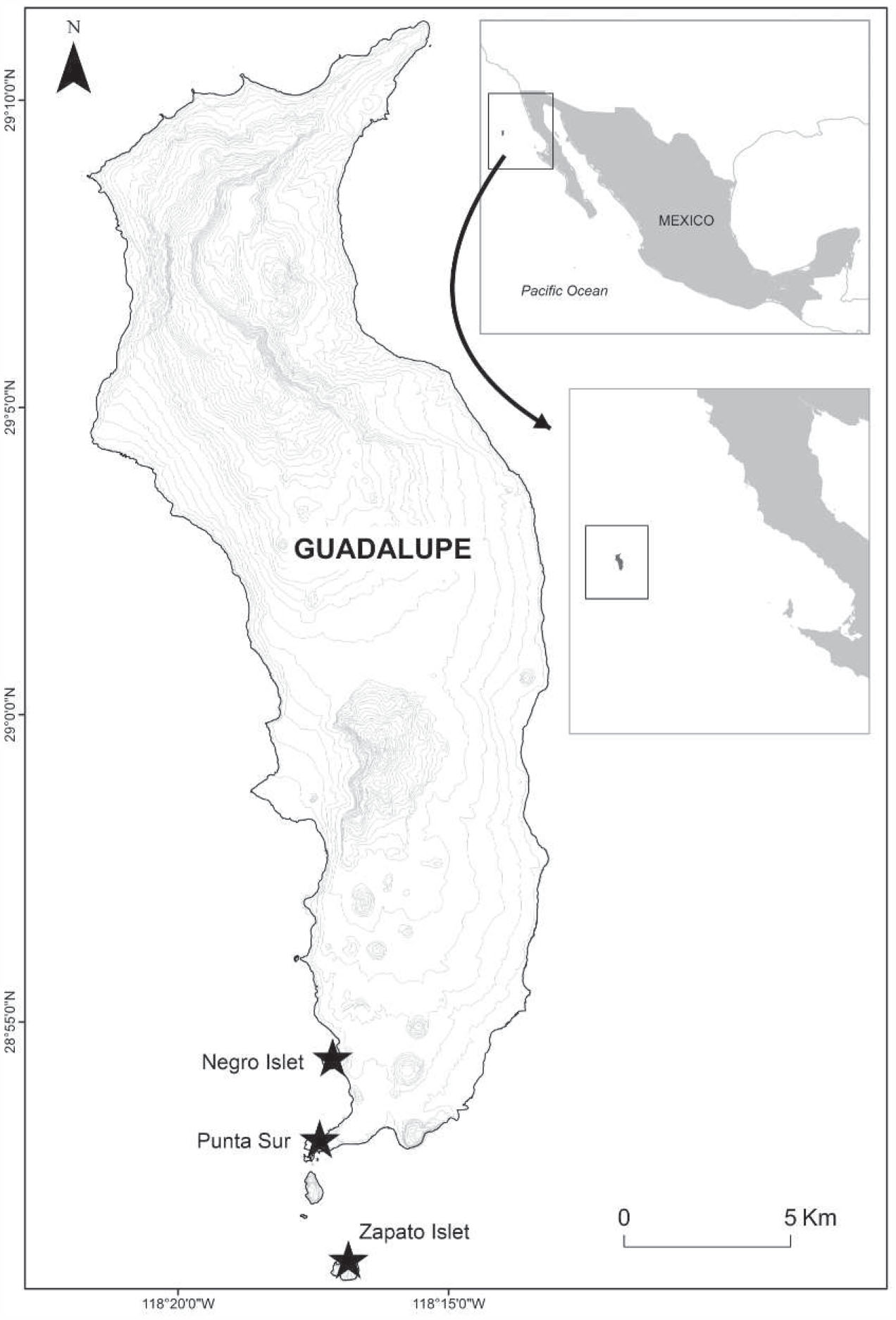 Guadalupe Island Mexico Map Laysan Albatross On Guadalupe Island, México: Current Status And  Conservation Actions