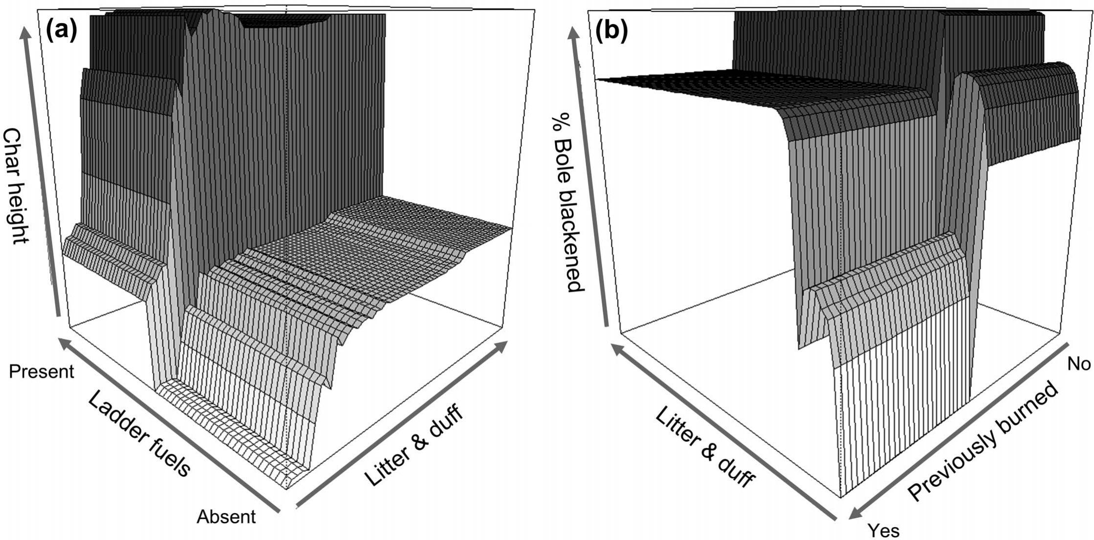 Traditional Ecological Knowledge Used In Forest Restoration Benefits Natural And Cultural Resources The Intersection Between Pandora Moths Jeffrey Pine People And Fire