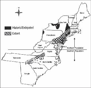 Bog Turtle Habitat on the Lake Ontario Coastal Plain of New York State