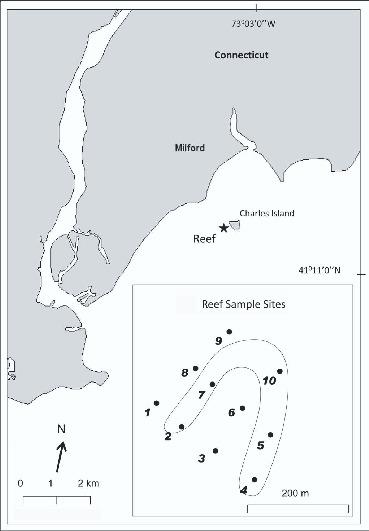Lobster Cove Tide Chart