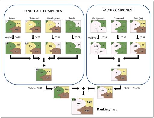 A Multicriteria Decision Analysis for Identifying Priority Conservation ...