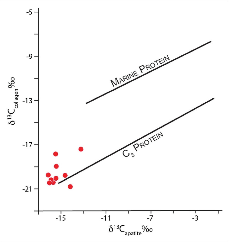 The Peopling Of The North Atlantic Isotopic Results From Iceland