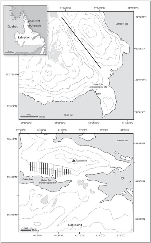 A 550 Year Record Of The Disturbance History Of White Spruce - 