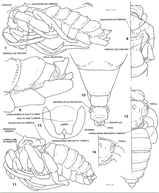 i0003-0082-3289-1-1-f07.gif