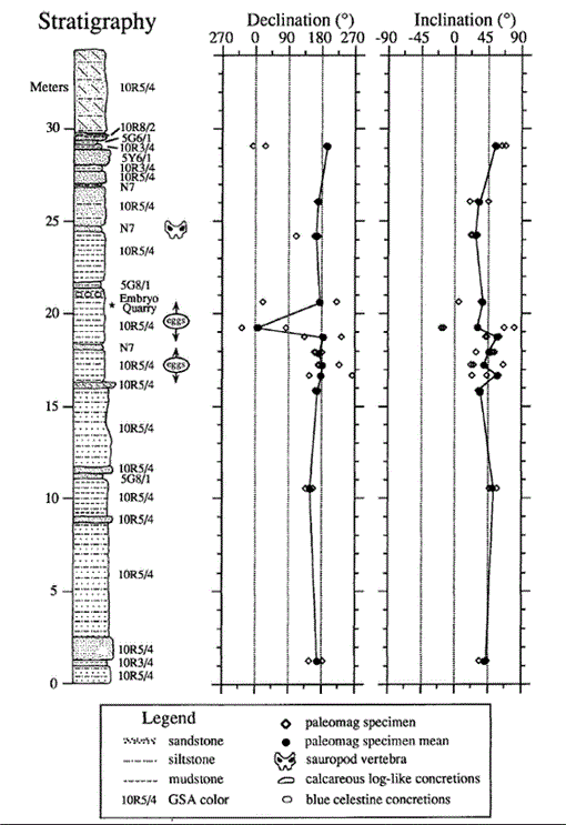 Stratigraphy and Magnetostratigraphic/Faunal Constraints for the Age of ...