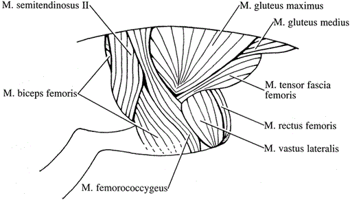 i0003-0082-3294-1-1-f14.gif