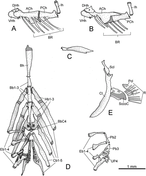 i0003-0082-3418-1-1-f20.gif