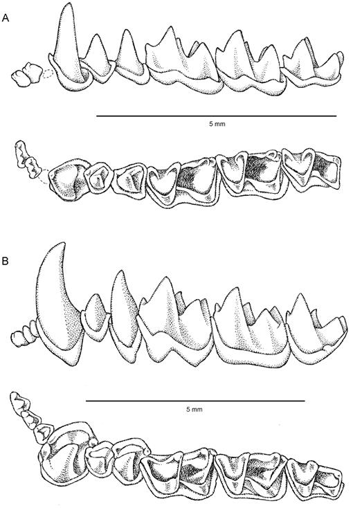 f05_01.jpg