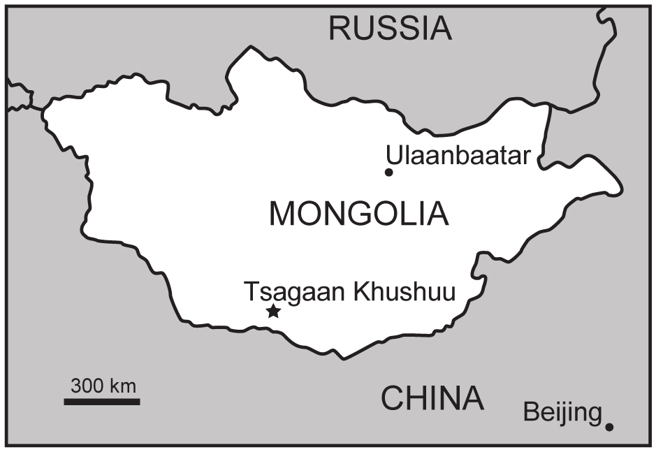 New Fossil Birds from the Earliest Eocene of Mongolia