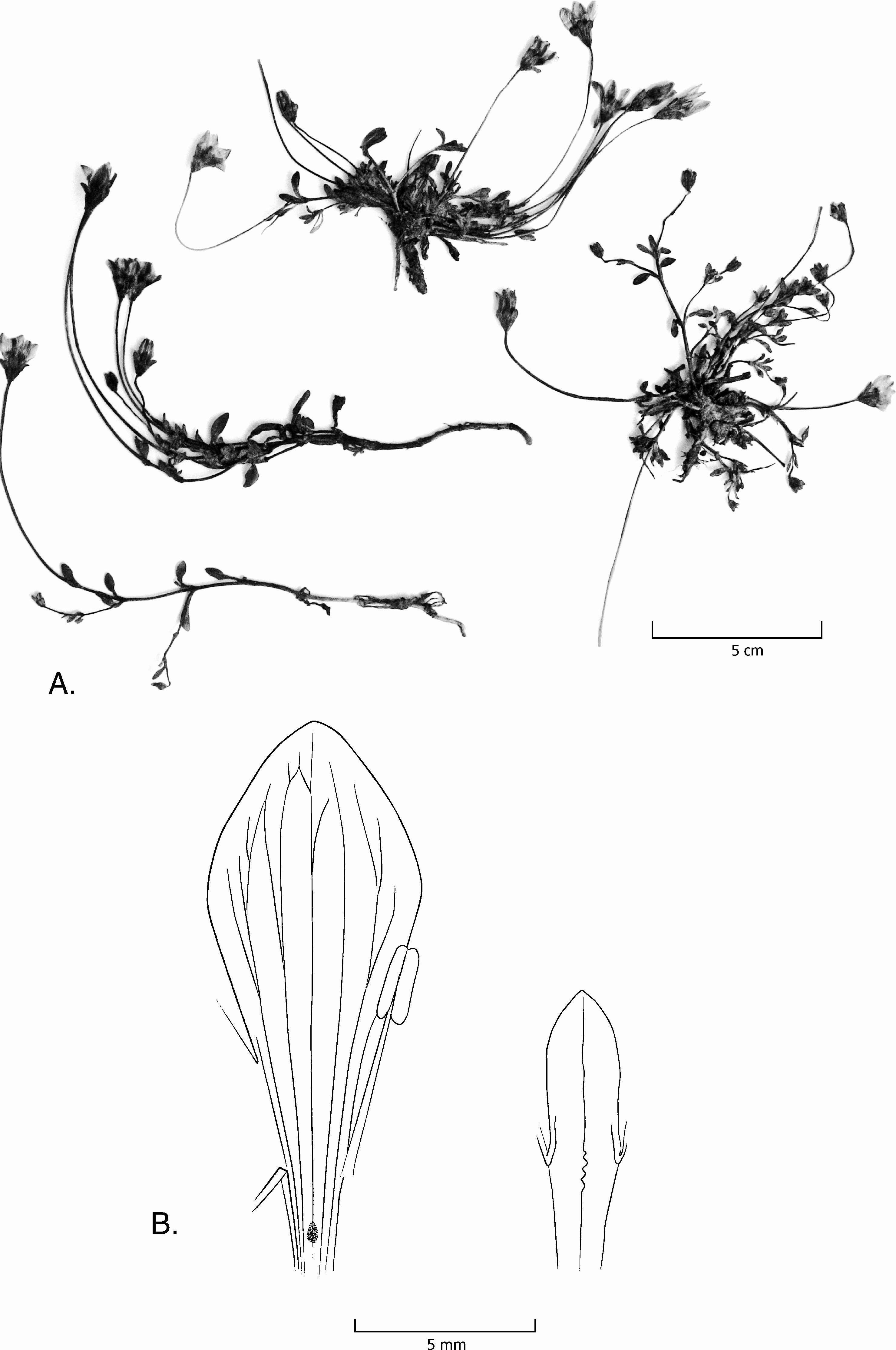 read biotransformation der