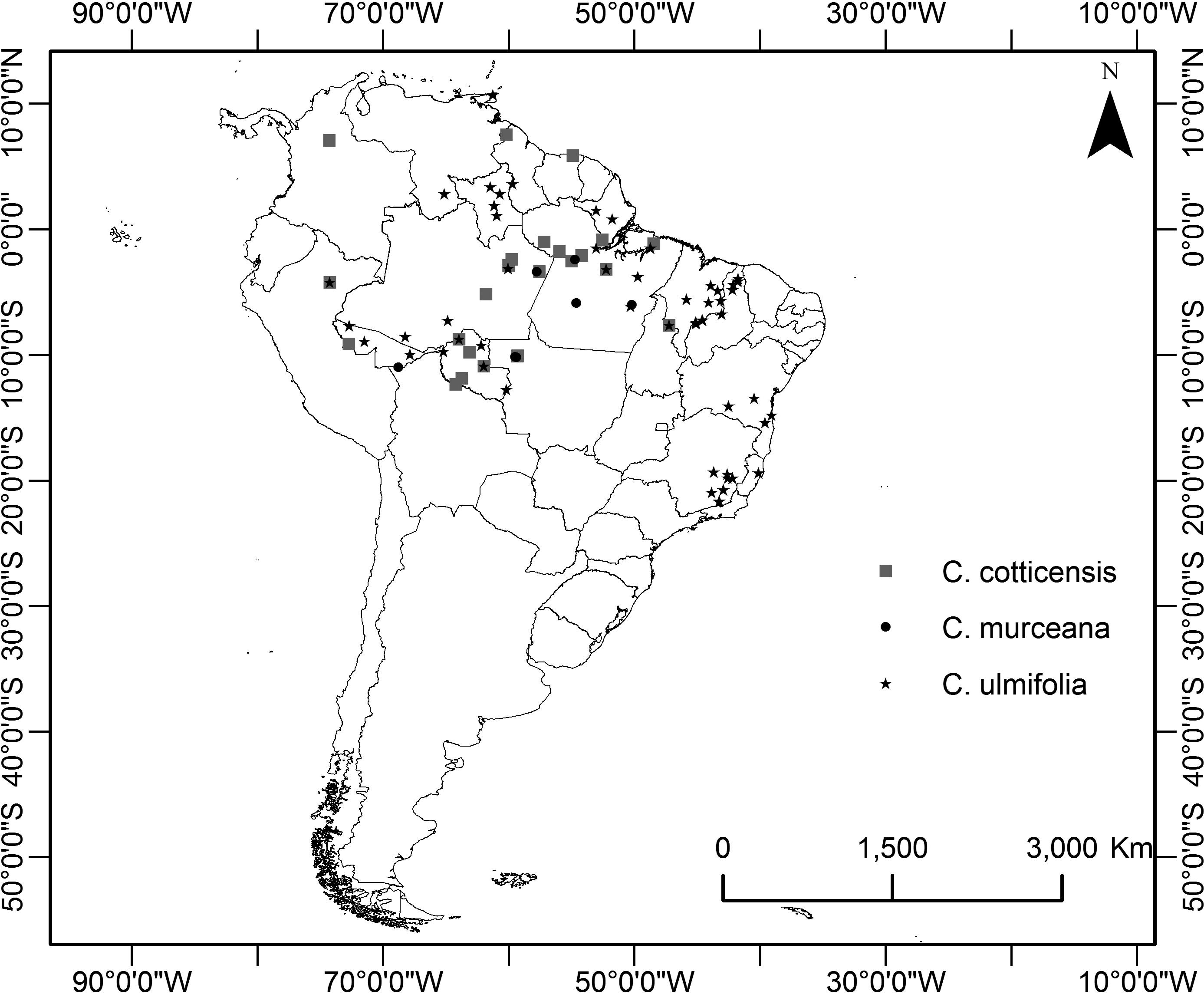 Taxonomic Revision Of The Casearia Ulmifolia Complex Salicaceae