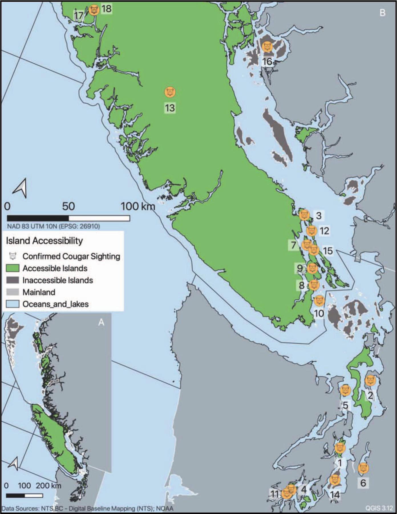 ISLAND HOPPING COUGARS (PUMA CONCOLOR) IN THE SALISH SEA