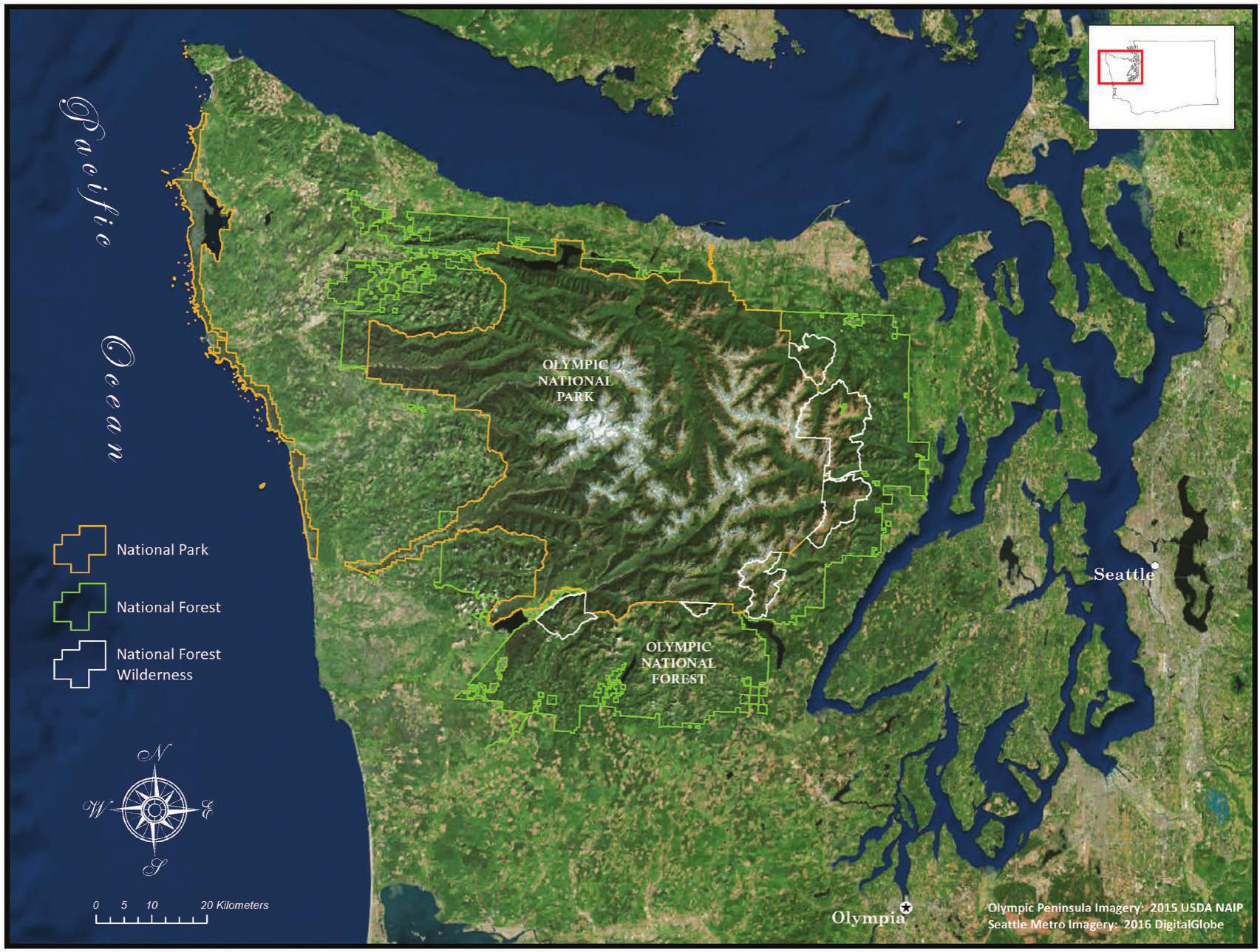 Status of Pacific Martens (Martes caurina) on the Olympic Peninsula ...