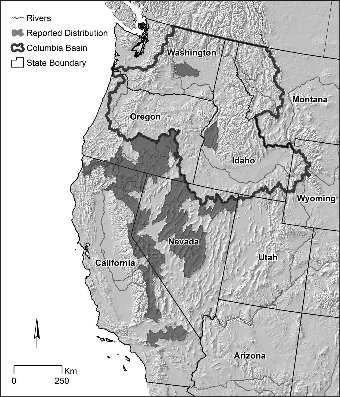 Tui Chub (Siphateles bicolor) are Native to the Columbia River Basin in ...