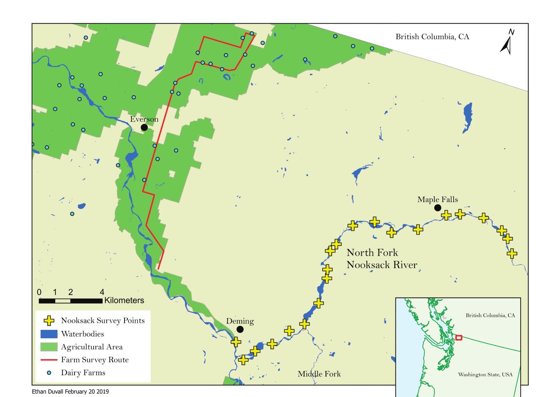 Declining Salmon Lead Eagles to Seek Out Food in Washington's Agricultural  Areas - GlacierHub