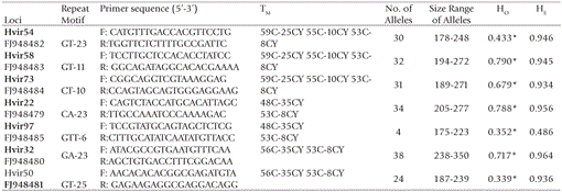 t01_19.gif