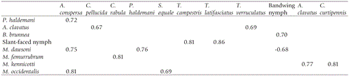 t03_215.gif