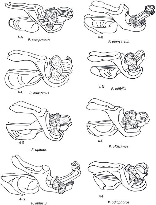 f92e_01.jpg