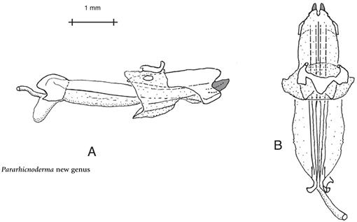 f11_01.jpg