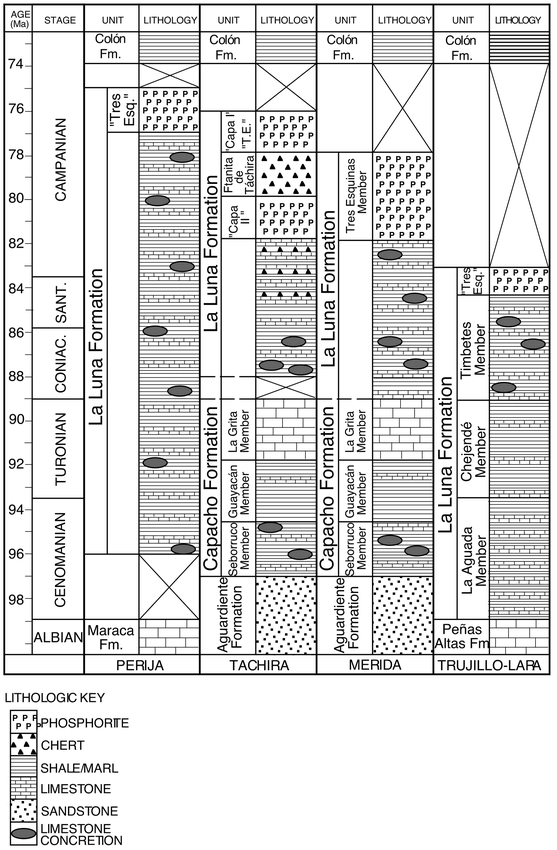 An Integrated Calcareous Microfossil Biostratigraphic And