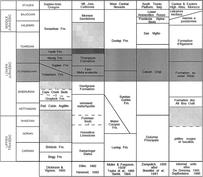 Dissecting “Lithiotis” Bivalves: Implications for the Early Jurassic ...