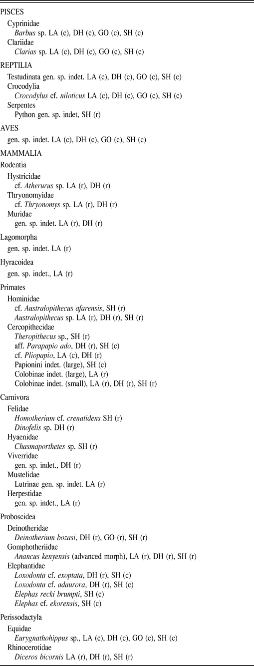 Deinotherium spp. - Carnivora