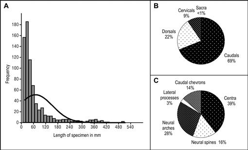 Taphonomy And Paleoecology Of A Bonebed From The Prince Creek Formation North Slope Alaska