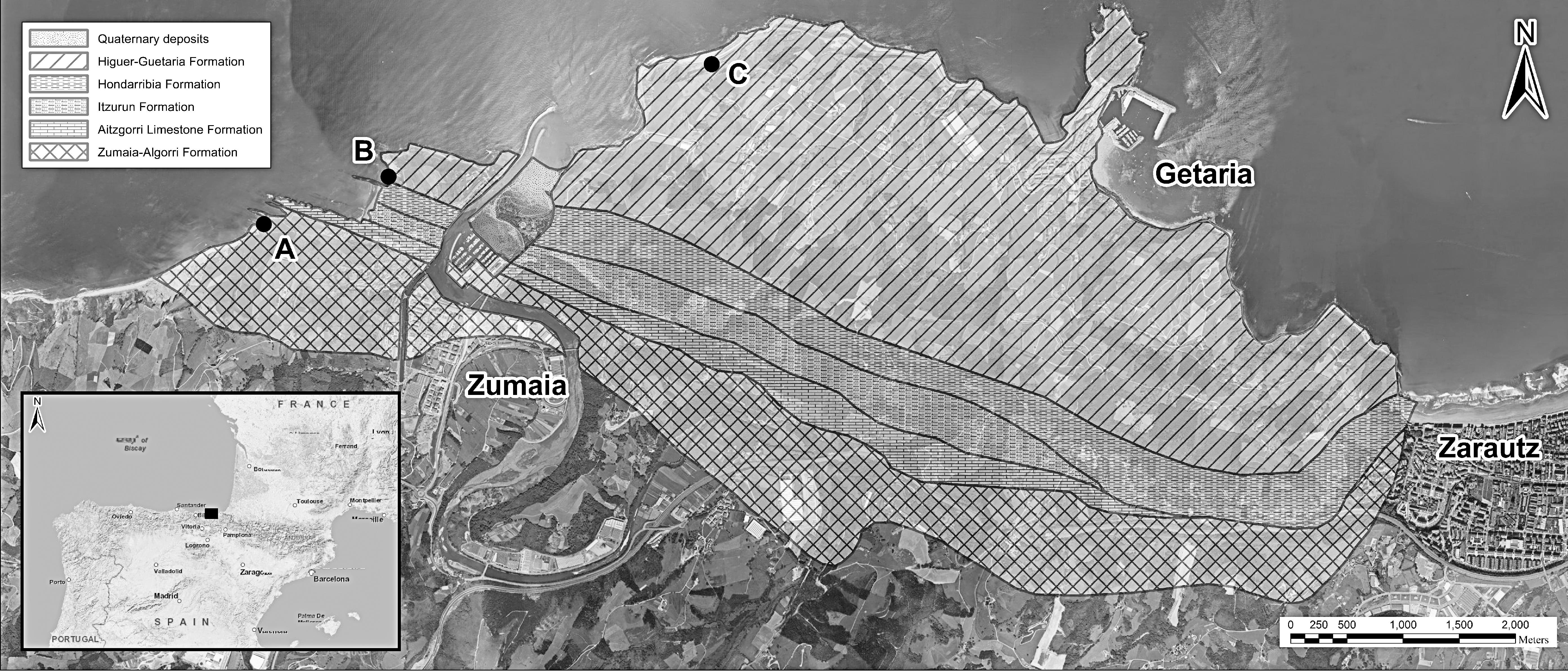 FRACTAL ANALYSIS OF GRAPHOGLYPTID TRACE FOSSILS