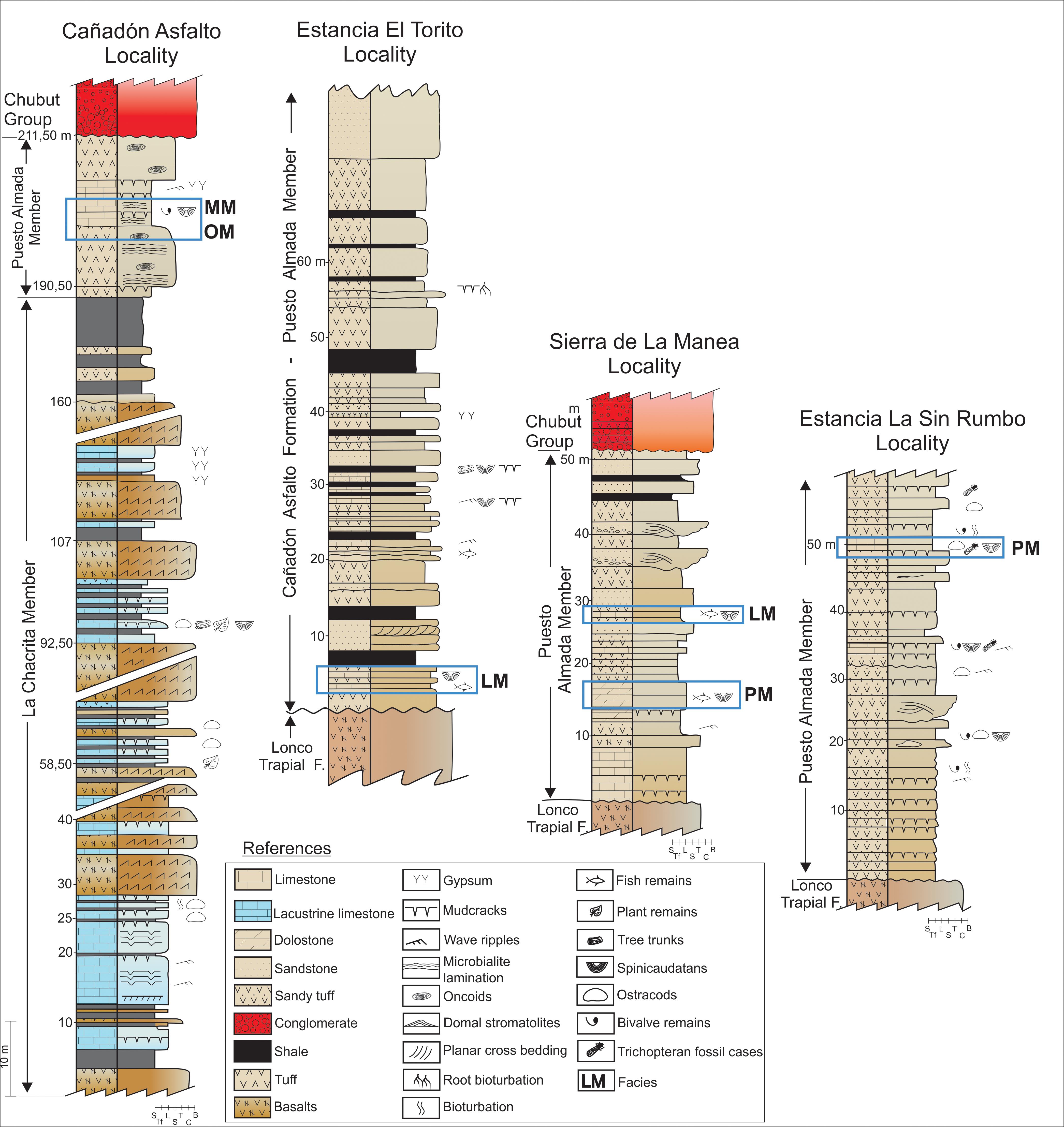 SPINICAUDATANS FROM THE UPPER JURASSIC OF ARGENTINA AND THEIR ...