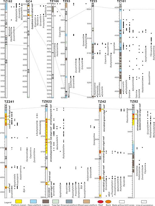PALEOENVIRONMENTAL DISTRIBUTION OF ORDOVICIAN CALCIMICROBIAL