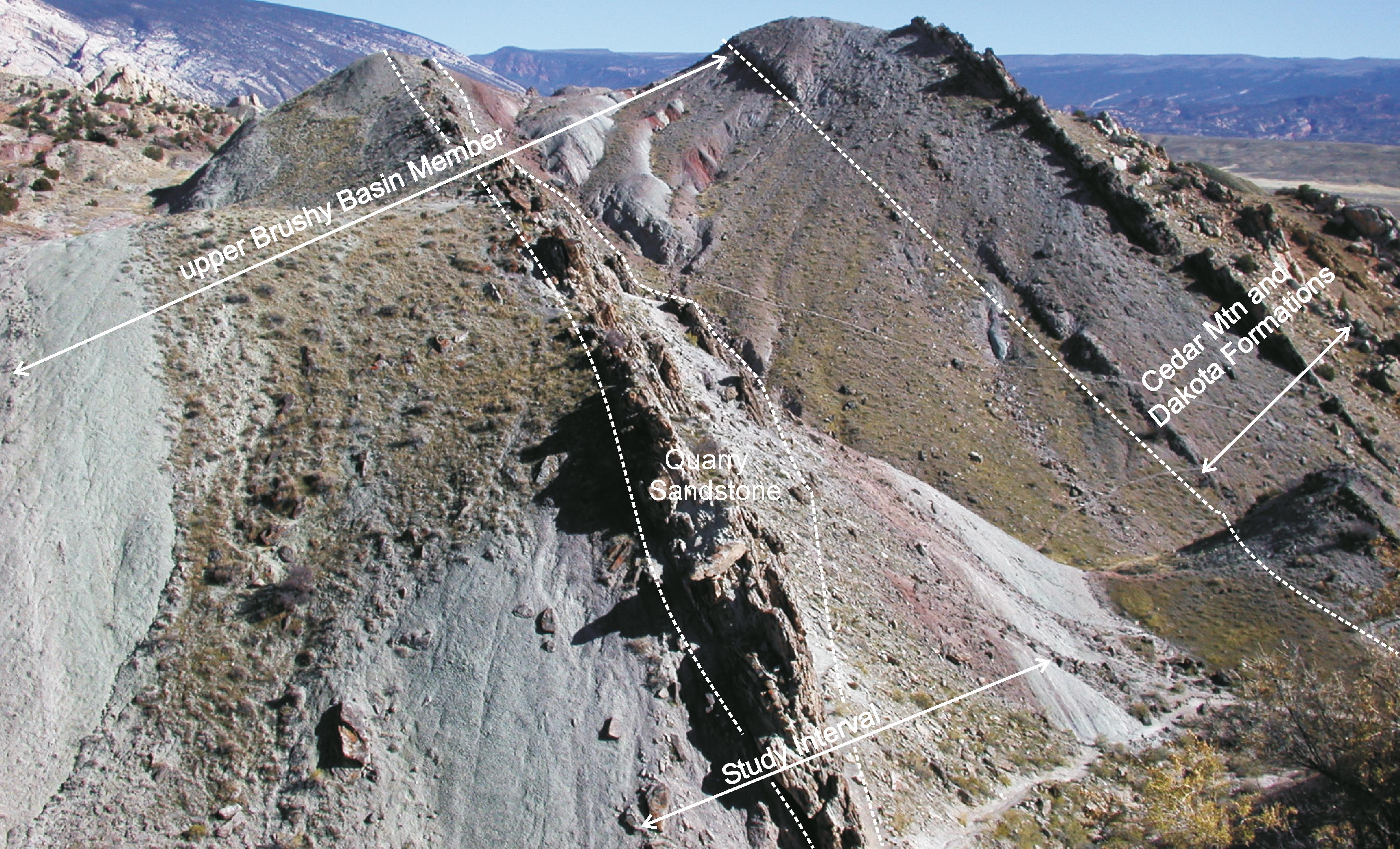 Origin Of The Carnegie Quarry Sandstone (morrison Formation, Jurassic 