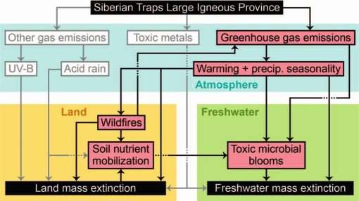 END-PERMIAN BURNOUT: THE ROLE OF PERMIAN–TRIASSIC WILDFIRES IN EXTINCTION,  CARBON CYCLING, AND ENVIRONMENTAL CHANGE IN EASTERN GONDWANA