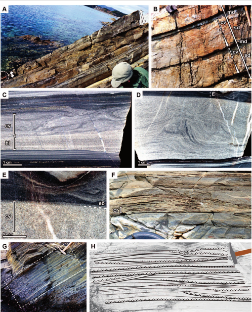 SEDIMENTARY ENVIRONMENT AND REDOX CONDITIONS OF THE LOWER TRIASSIC