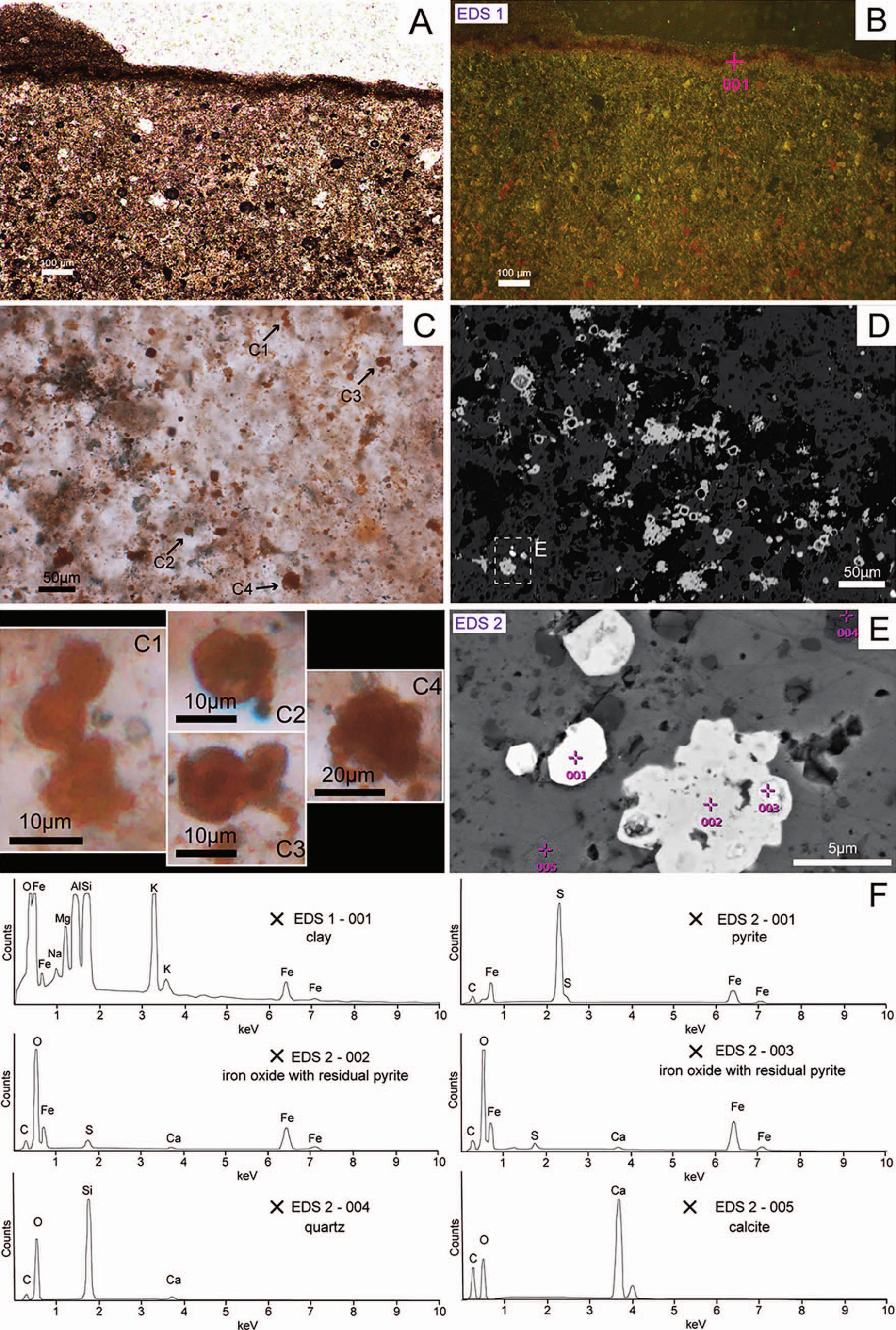 SIMPLE STRUCTURES AND COMPLEX STORIES: POTENTIAL MICROBIALLY INDUCED  SEDIMENTARY STRUCTURES IN THE EDIACARAN SERRA DE SANTA HELENA FORMATION,  BAMBUÍ GROUP, EASTERN BRAZIL