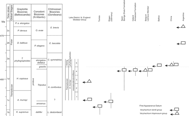 THE ACRITARCH GENUS VERYHACHIUM DEUNFF 1954: TAXONOMIC EVALUATION AND ...