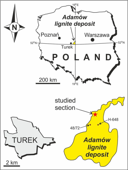 Pliocene Lignite Bed  U.S. Geological Survey