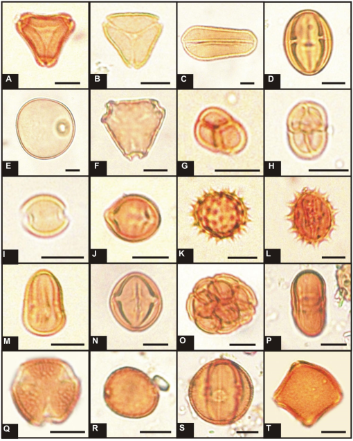 Contributions to Melissopalynology Studies in Southern Brazil: Pollen ...