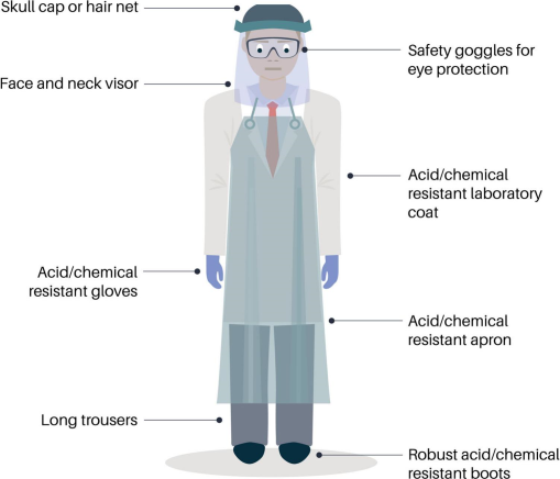 https://bioone.org/ContentImages/Journals/paly/45/S1/01916122.2021.1878305/graphic/WebImages/img-z12-3_01.jpg