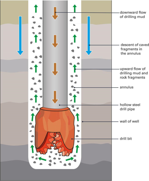 A Guide to Preparation Protocols in Palynology