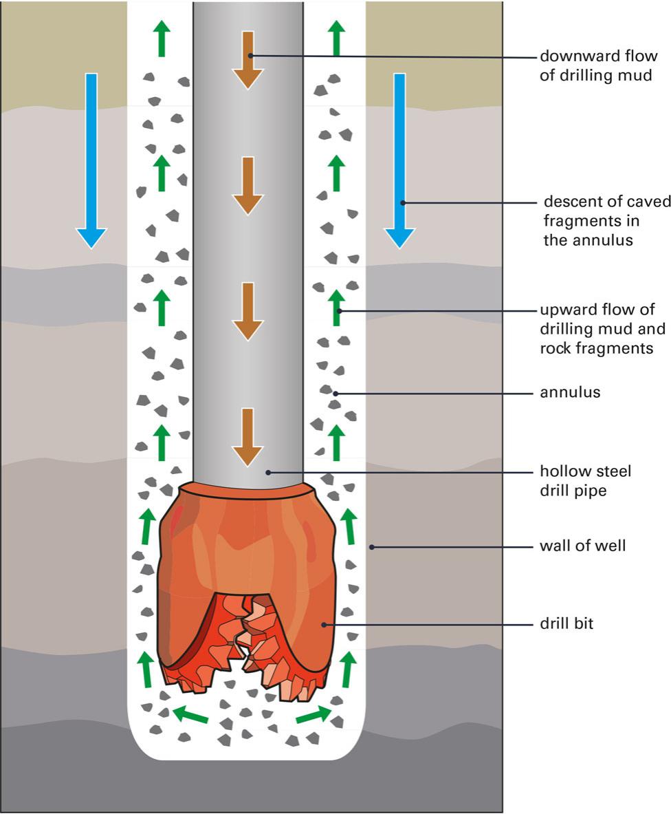 Stainless Steel Lees Stirrer (For Drill)