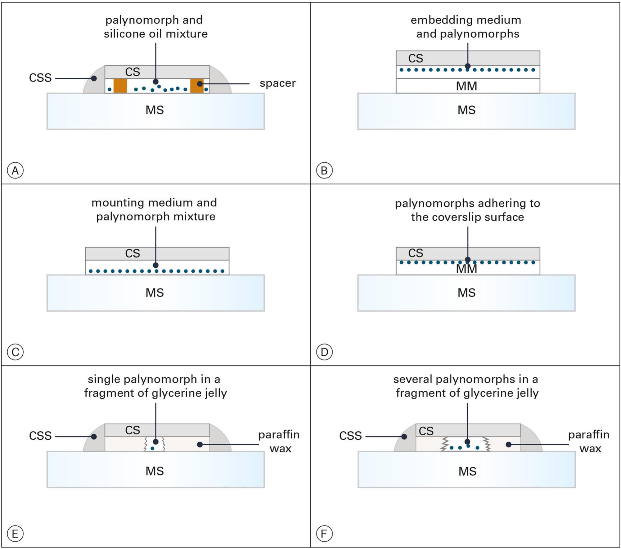 A Guide To Preparation Protocols In Palynology