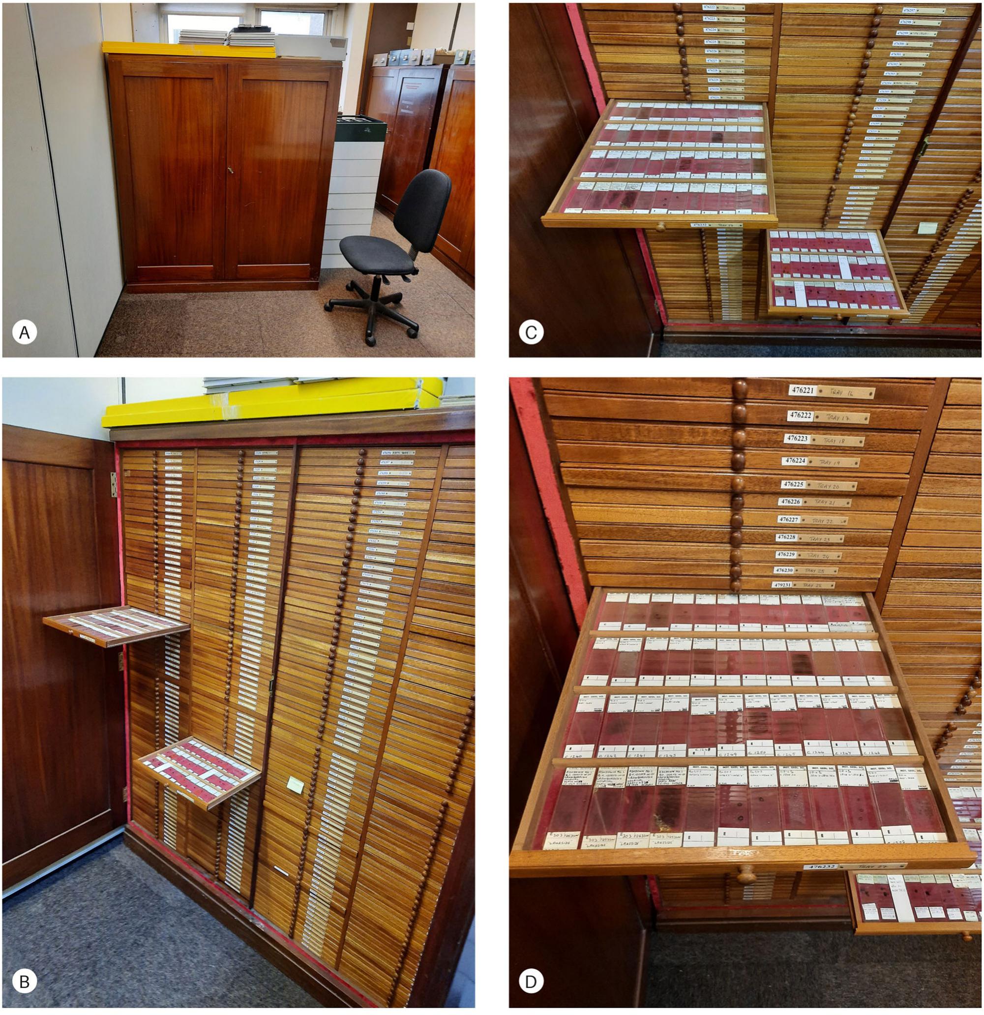 A Guide To Preparation Protocols In Palynology